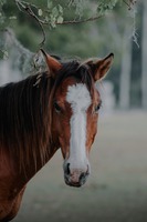 Photo by Ivana Cajina on Unsplash