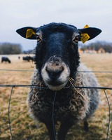 Photo by Jonas Nordberg on Unsplash