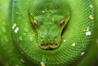 Photo by David Clode on Unsplash