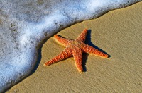 Photo by Pedro Lastra on Unsplash