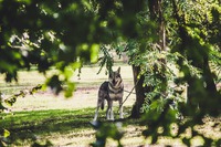 Photo by Wassim Chouak on Unsplash