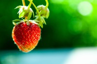 Photo by Robin St on Unsplash