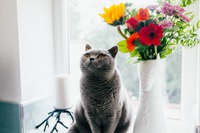 Photo by Josh Couch on Unsplash