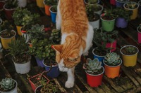 Photo by nrd on Unsplash