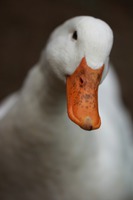 Photo by Sandy Millar on Unsplash