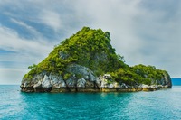Photo by Tom Winckels on Unsplash