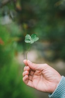 Photo by Hoan Vo on Unsplash
