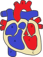 Imagem de OpenClipart-Vectors por Pixabay