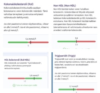 Toistaiseksi jäi epäselväksi, miksi kolesterolin kokonaisarvo ylittää viitearvon, vaikka yksittäin tarkasteltuna tulokset ovat viitearvojen sisällä.