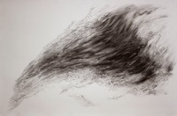 Metamorfosis, 2021. Grafito y carbonilla sobre papel, 100 x 150 cm.