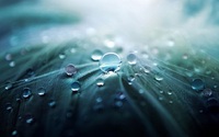 RAINDROP-HOITO