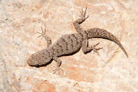 May 2011, Kapsali Bay, Kythera, GR