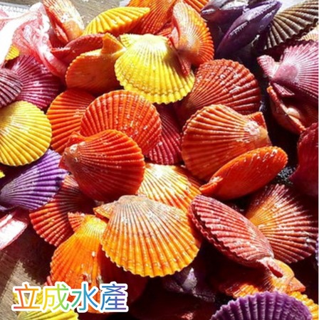 商品 立成水產進口海鮮批發有限公司