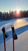 Skifahren & Langlauf