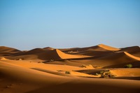 Foto di Francesco Ungaro da Pexels