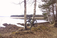 Kevättä se on!