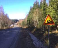Haapakoskelta löytyy tällainen mäki - jees!