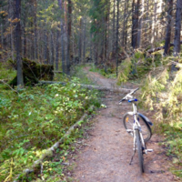 Myrskyn jälkeen...