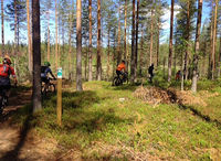 Matkalla metsän siimeksessä!