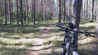 Polut mahtavassa kunnossa!