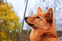 Maisa 5kk. Kuva: Venla L.