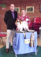 Best Dog + Best R/W + Best in Show - Alstella Pure Gold
