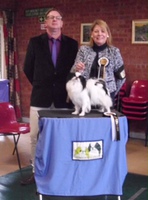 Best Bitch + Reserve Best in Show..Yama Miss Saigon Omegaville