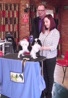 Best Puppy in Show - Holmchin Miss Demeanour