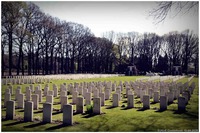 Oorlogsbegraafplaats van het Gemenebest Arnhem Oosterbeek