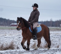 Rölli