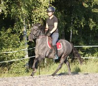 Lalli