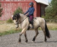 Samppa