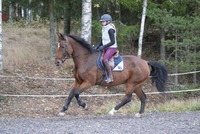 Ritva