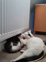 Kitty & Oskar