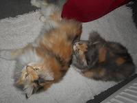 Kimberly & Shakira, Senioren Schwestern