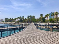 Limassol