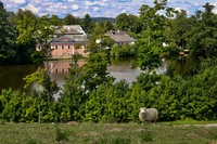 Konventský rybník