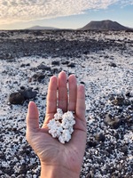 Popcorn beach
