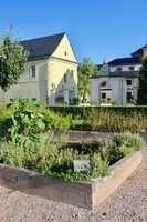 Bylinková zahrada hospitálu Kuks