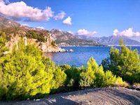 Sutomore