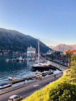 Kotor