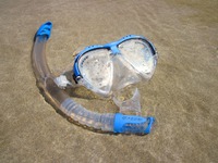 snorkelling