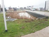 In een KMO-zone in Diepenbeek werd een alternatief waternetwerk aangelegd voor hergebruik van het regenwater (ill. Blauwgroenvlaanderen.be)