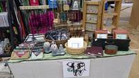 Harmoniexpo