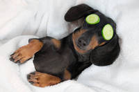 kép: pinterest
