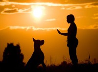 kép: pinterest