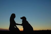 kép: pinterest