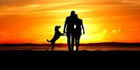 kép: pinterest