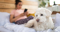 kép: pinterest