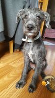 kép: pinterest